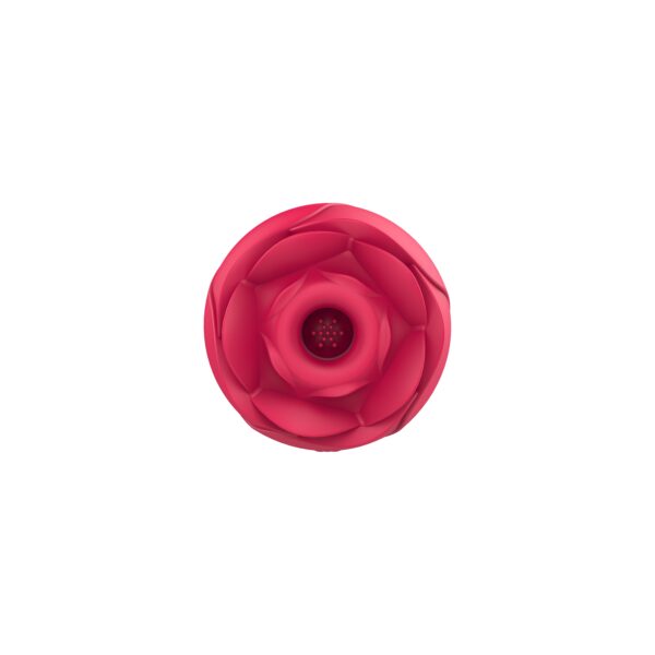 Auflegevibrator IMMORTAL FLOWER rot – Bild 6