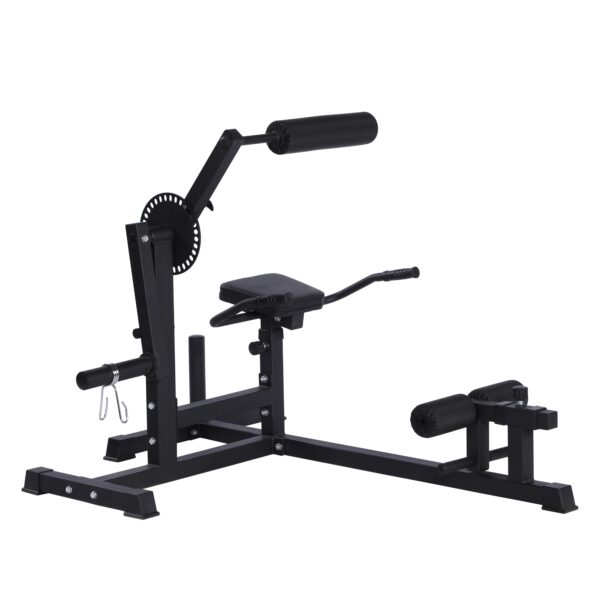 Bauchtrainer Rückentrainer APEX – Bild 6