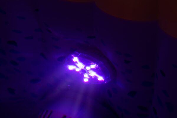 Beleuchtung LED Lay-Z-Spa Whirlpool – Bild 9