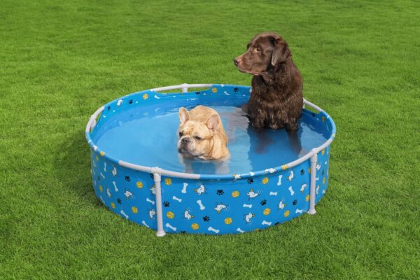 Bestway Hundepool Fetchin' Fun 122 x 30 cm – Bild 2