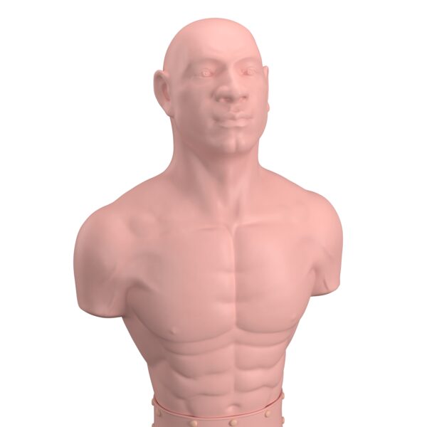 Boxdummy 170 cm – Bild 5