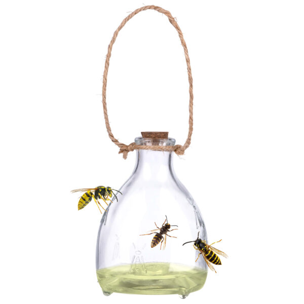 Wespenfalle Glas 2er Set – Bild 3